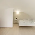 B17 Bajcsy Apartment